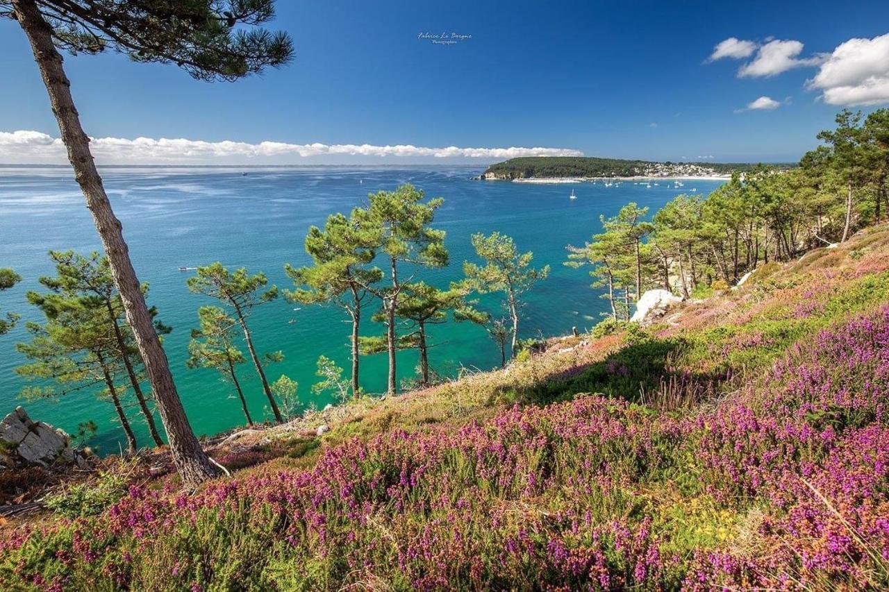 Appartement Cosy Les Pieds Dans L'Eau, Vue Mer Exceptionnelle Крозон Экстерьер фото